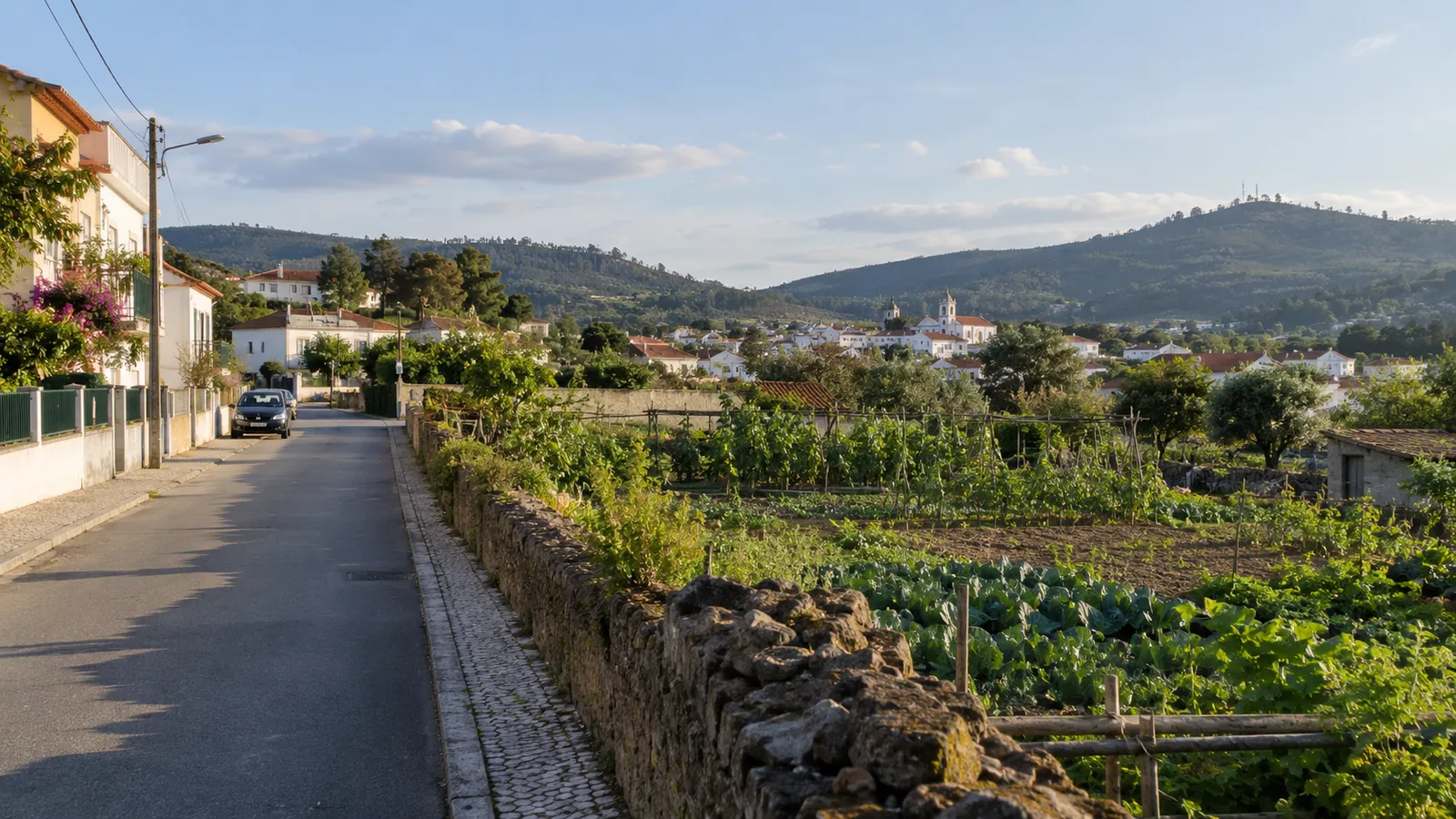 The edge of a Portuguese town where a residential street meets vegetable plots and low countryside hills.