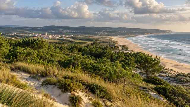 Silver Coast-inspired rolling coastal dunes and low pine forest beside a long Atlantic beach.