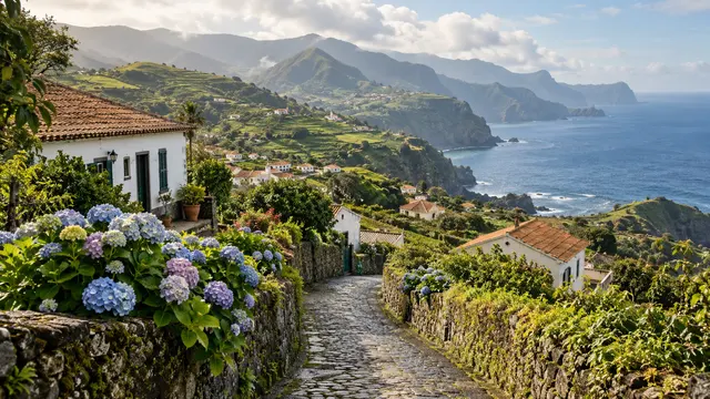 Green island hills and a lane overlooking the Atlantic