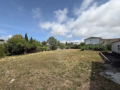 Vegetação e limites do terreno